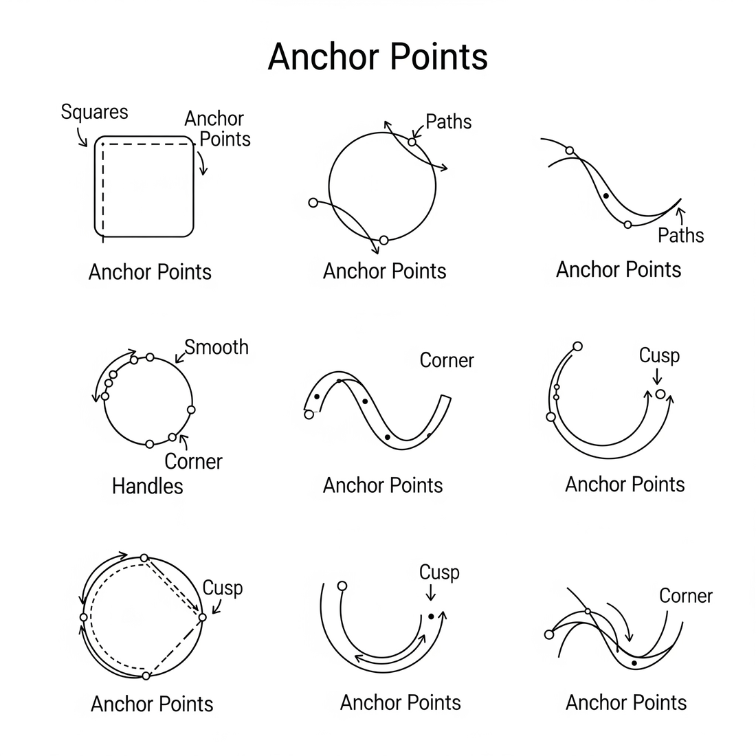 What Are Anchor Points in Vector Illustration? A Complete Guide for Beginners